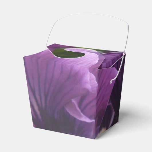 Ballotins Mechteld (Verso)