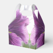 Ballotins Mechteld (Arrière)