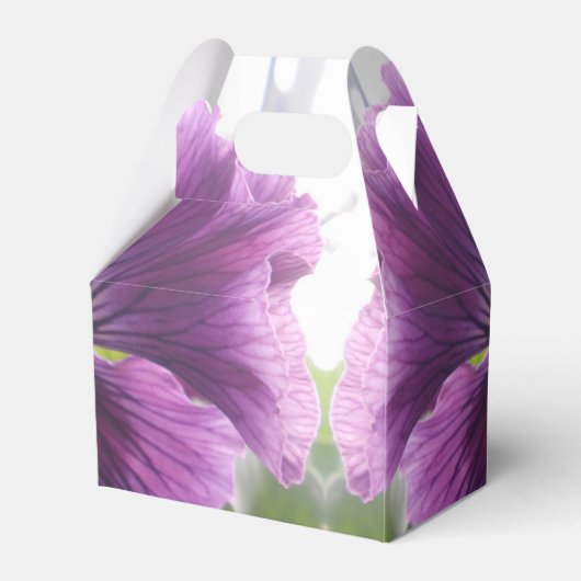 Ballotins Mechteld (Arrière)