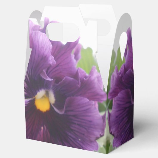 Ballotins Mechteld (Ouvert)