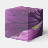 Ballotins Mechteld (Arrière)