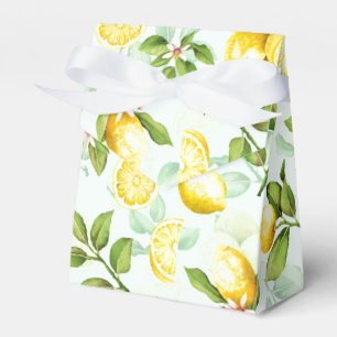 Ballotins Monnaie Motif aux fruits citrons