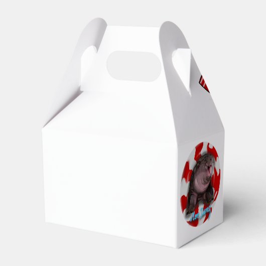 Ballotins Moo Deng Hippo (Arrière)