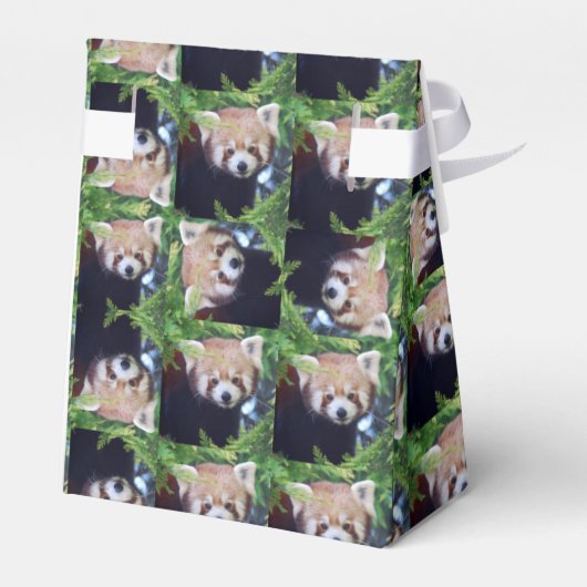 Ballotins Motif Red Panda (Arrière)