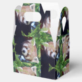 Ballotins Motif Red Panda (Ouvert)