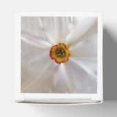Ballotins narcisse blanche perle (Haut)