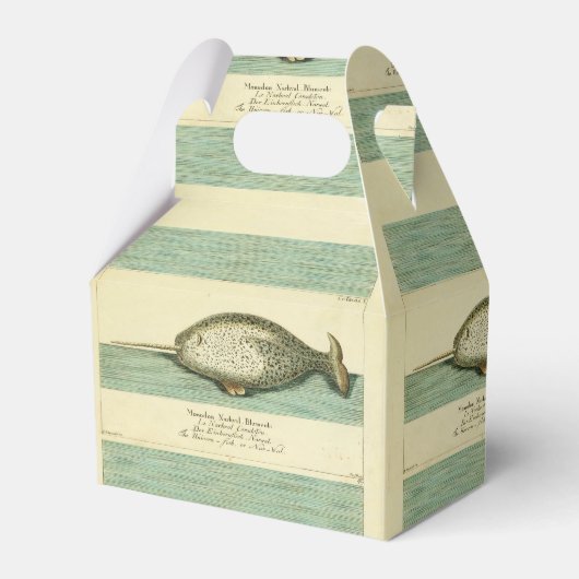 Ballotins Narwhal Antique Baleine Aquarelle Art scientifique (Verso)