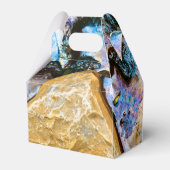 Ballotins nature abstraite eau morte (Arrière)