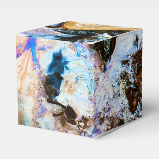 Ballotins nature abstraite eau morte (Verso)