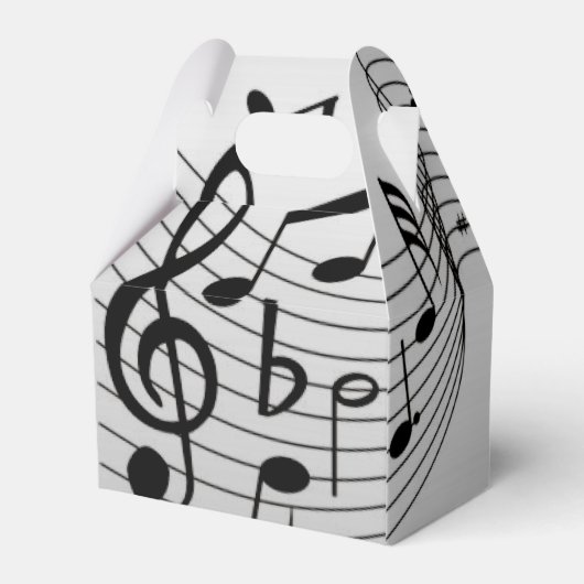 Ballotins Notes musicales sur Argent (Arrière)