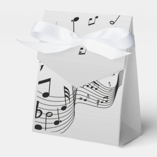 Ballotins Notes musicales sur Argent (Verso)