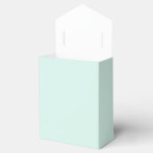 Ballotins Nuage de Menthe (Ouvert)