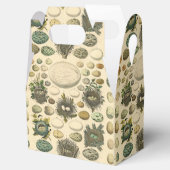 Ballotins OEuf vintage Nid Art Peinture OEufs (Ouvert)