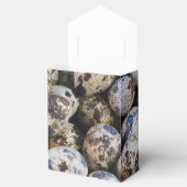 Ballotins Oeufs de caille (Ouvert)