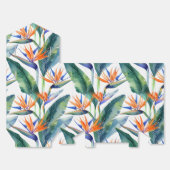 Ballotins Oiseau tropical du Paradis motif (Déplié)