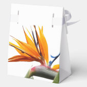 Ballotins Oiseau tropical du Paradis Plante Mariage floral (Verso)