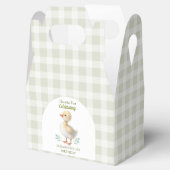 Ballotins One Silly Goose Green Gingham Baby First Birthday (Ouvert)