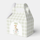 Ballotins One Silly Goose Green Gingham Baby First Birthday (Verso)