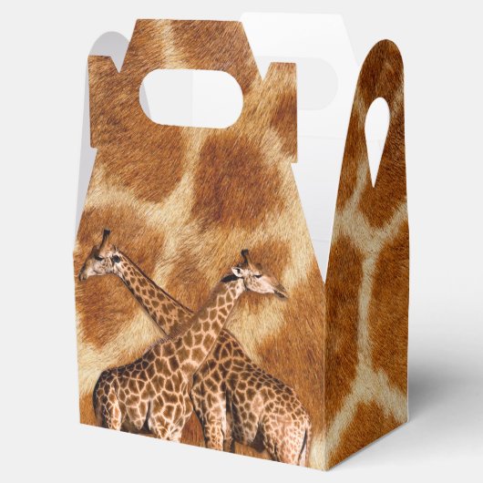 Ballotins Options Giraffe 1A (Ouvert)
