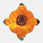 Ballotins Orange Flower Sortir Ballotin (Déplié)