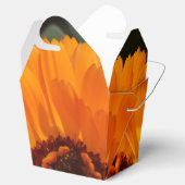 Ballotins Orange Flower Sortir Ballotin (Ouvert)