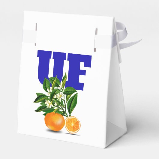 Ballotins Oranges de Floride Alligators (Arrière)