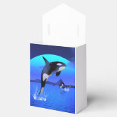 Ballotins Orca 1 (Ouvert)