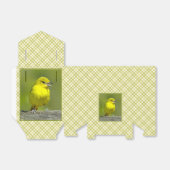 Ballotins Orchard Oriole - Photo originale (Déplié)