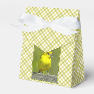 Ballotins Orchard Oriole - Photo originale