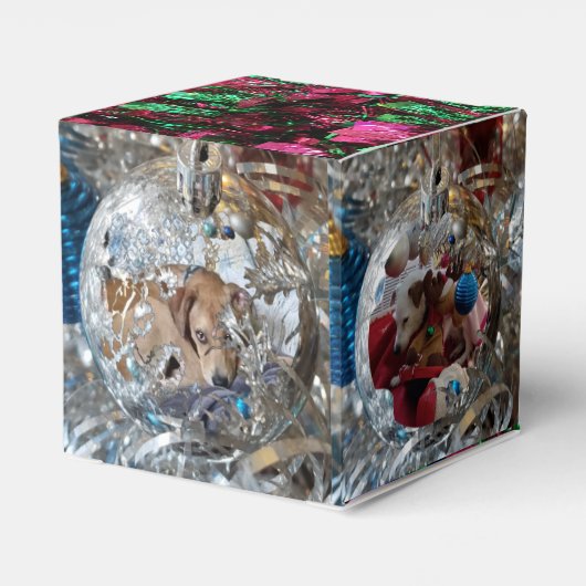 Ballotins Ornements argentés 4 Ballotin photo (Arrière)