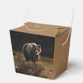 Ballotins Ours (Recto)