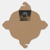Ballotins Ours (Déplié)