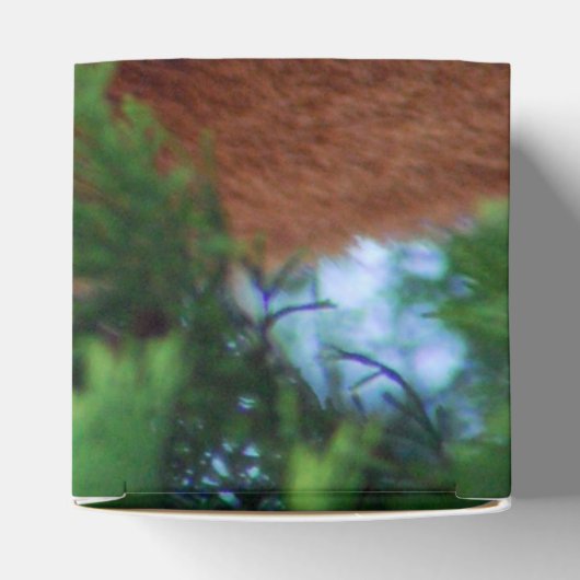 Ballotins Panda rouge (Haut)