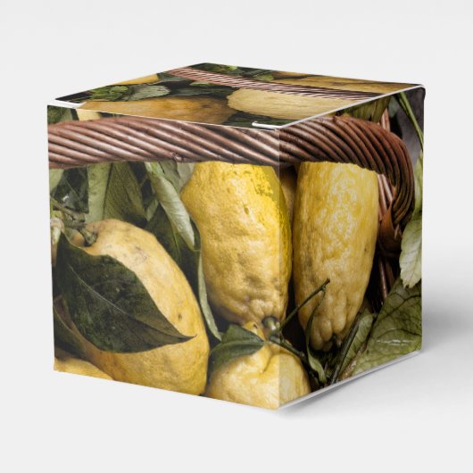 Ballotins Panier de citron Amalfi (Verso)