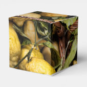 Ballotins Panier de citron Amalfi (Arrière)