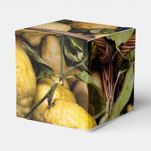 Ballotins Panier de citron Amalfi (Arrière)