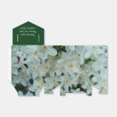 Ballotins Paperwhite Narcissus Fleurs blanches délicates (Déplié)