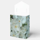 Ballotins Paperwhite Narcissus Fleurs blanches délicates (Ouvert)