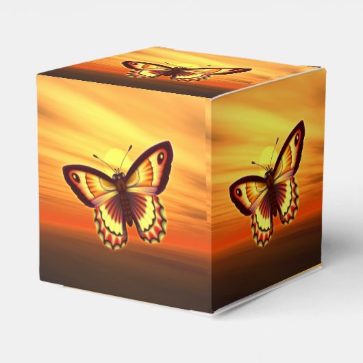 Ballotins Papillon (Arrière)