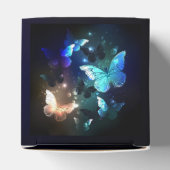 Ballotins Papillon de nuit (Haut)