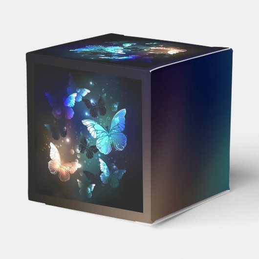 Ballotins Papillon de nuit (Arrière)