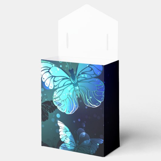 Ballotins Papillon de nuit (Ouvert)