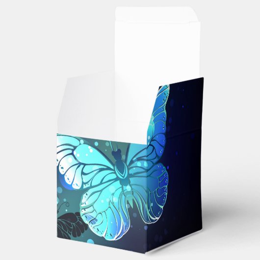 Ballotins Papillon de nuit (Ouvert)