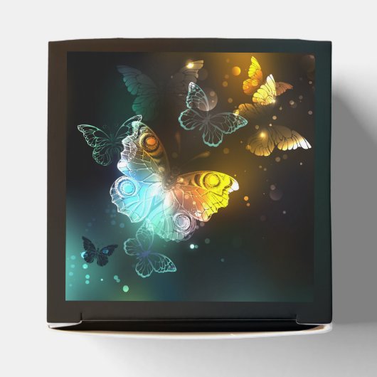 Ballotins Papillon lumineux et papillons de nuit (Haut)
