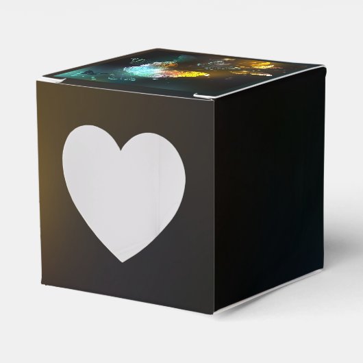 Ballotins Papillon lumineux et papillons de nuit (Verso)