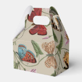 Ballotins Papillon Moth Nature Collection Dessin (Arrière)