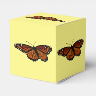 Ballotins Papillon Viceroy Belle photographie de la nature