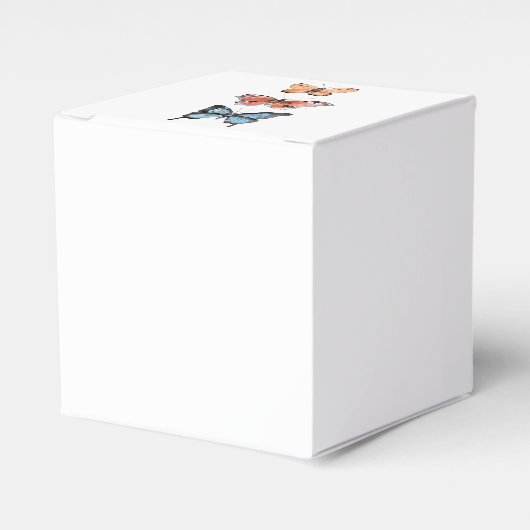 Ballotins Papillons (Verso)