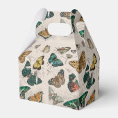 Ballotins Papillons Collection Antique Papillons (Arrière)