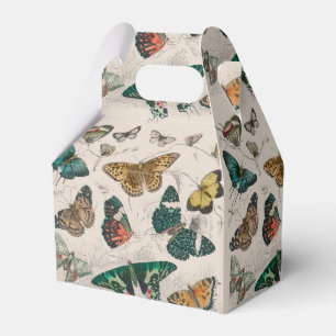 Ballotins Papillons Collection Antique Papillons